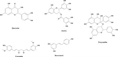 Polyphenol-based polymer nanoparticles for inhibiting amyloid protein aggregation: recent advances and perspectives